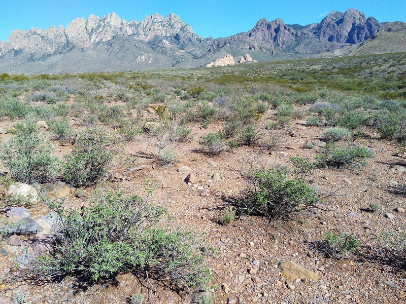 Illustration for article titled Instead of working, I bummed around Soledad Canyon and Organ Mountains-Desert Peaks National MonumentÂ